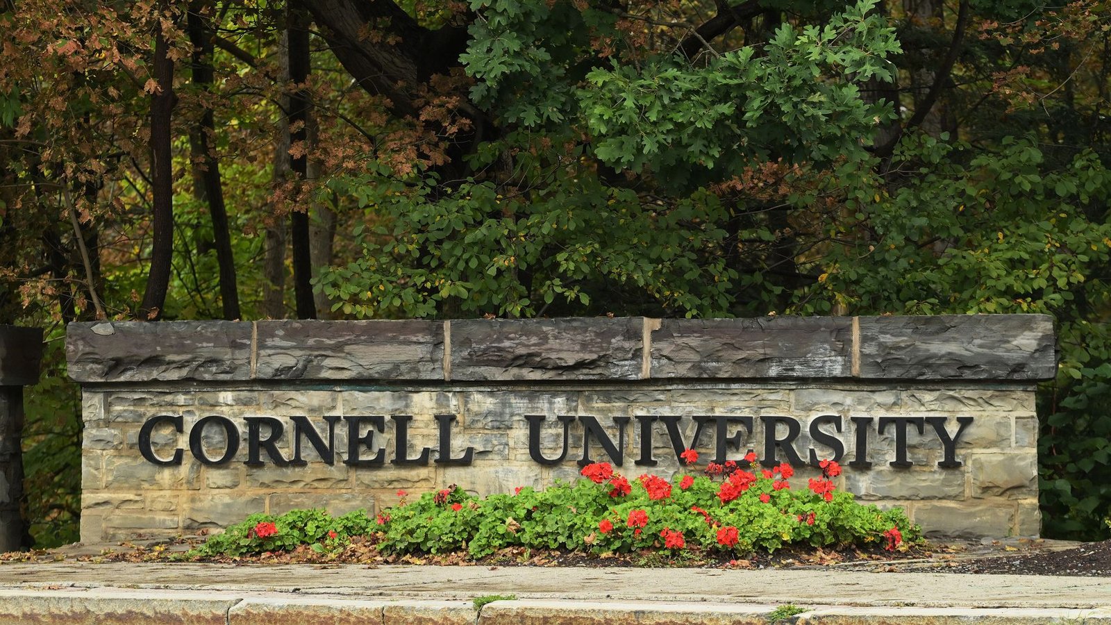 ‘A movement for true change’: Cornell University professor speaks out